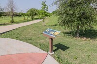 4911 S Cancun photo'