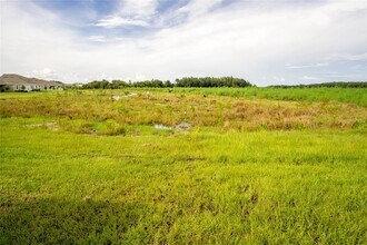 1172 Montgomery Bell Rd in Wesley Chapel, FL - Building Photo - Building Photo