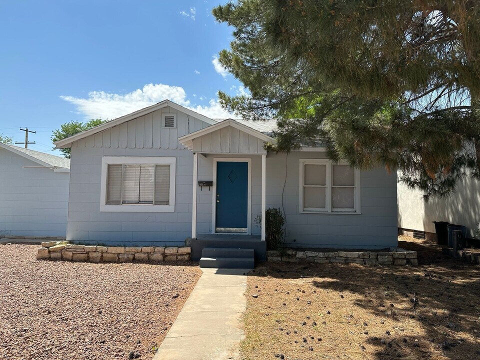 903 N Edwards St in Carlsbad, NM - Building Photo