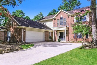 14 E Trillium Cir in Spring, TX - Building Photo - Building Photo