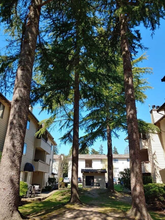 Jackson Greens in Seattle, WA - Foto de edificio - Interior Photo