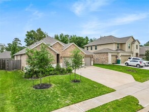 25610 Pinyon Hl Trl in Tomball, TX - Building Photo - Building Photo