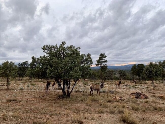 7786 Toya Vista Rd in Payson, AZ - Building Photo - Building Photo