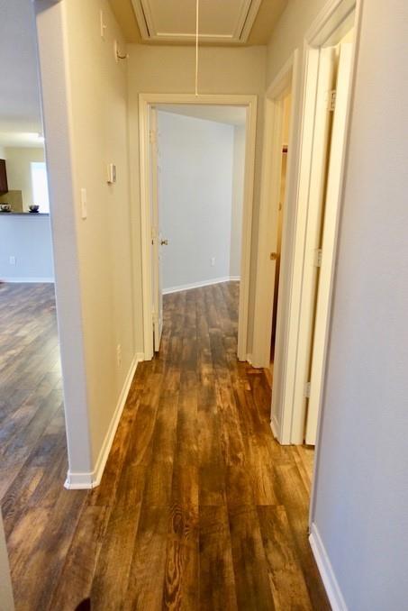 16875 Blackberry Lily Ln photo'