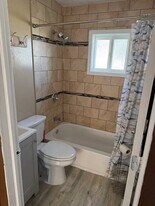 41 Wilkins Ave in Albany, NY - Building Photo