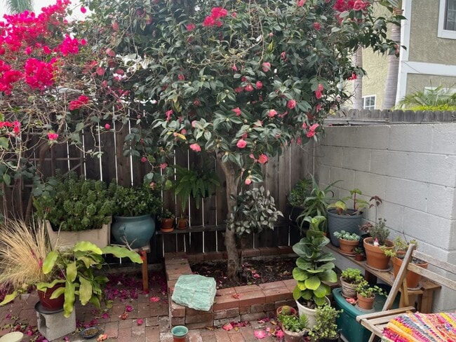 property at 2316 Virginia Ave