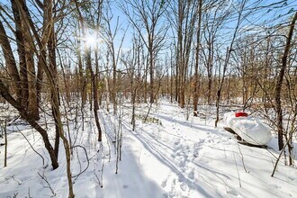 1413 W Sian Dr in Sanford, MI - Building Photo - Building Photo