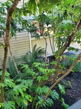 15739 SE 175th Pl in Renton, WA - Building Photo - Building Photo