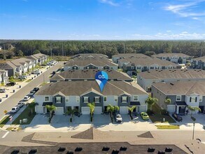 2916 Peony Pr Ln in Wesley Chapel, FL - Building Photo - Building Photo
