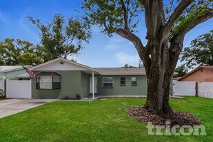 111 Sheryl Lynn Dr in Brandon, FL - Building Photo