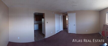 920 Bishop Ct in Castle Rock, CO - Building Photo - Building Photo