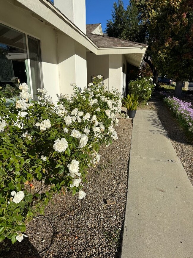 213 Oriole St in Ojai, CA - Building Photo - Building Photo