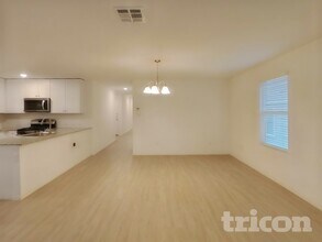 12911 Hyssop Mdw in Saint Hedwig, TX - Building Photo - Building Photo