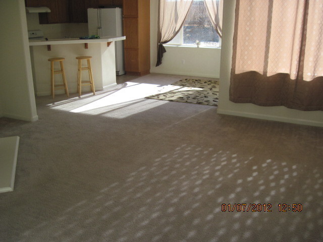 139 Hazelnut Dr in Fernley, NV - Building Photo - Building Photo