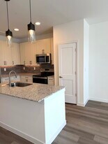 13220 FM973 in Manor, TX - Building Photo
