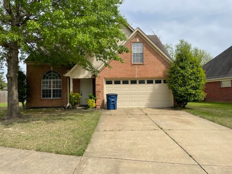 9869 Milestone Cir in Olive Branch, MS - Building Photo