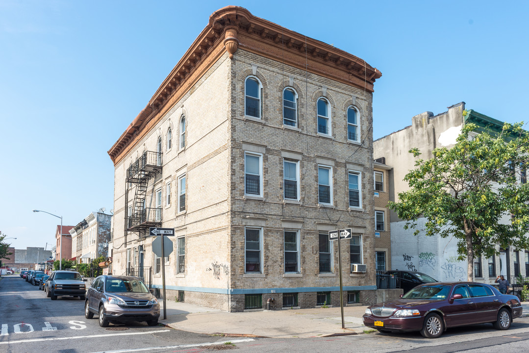 2405 Tilden Ave in Brooklyn, NY - Building Photo