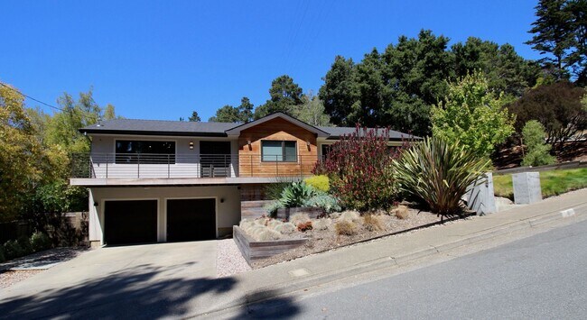 9 Wilkins Pl in Mill Valley, CA - Building Photo - Building Photo