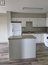 736 Old Albert St in Waterloo, ON - Building Photo - Building Photo