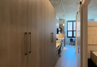 809 N Wells St in Chicago, IL - Building Photo - Building Photo