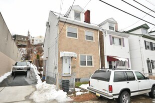 2528 Mission St in Pittsburgh, PA - Building Photo