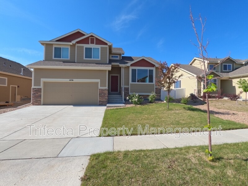 1036 Mount Oxford Ave in Windsor, CO - Building Photo