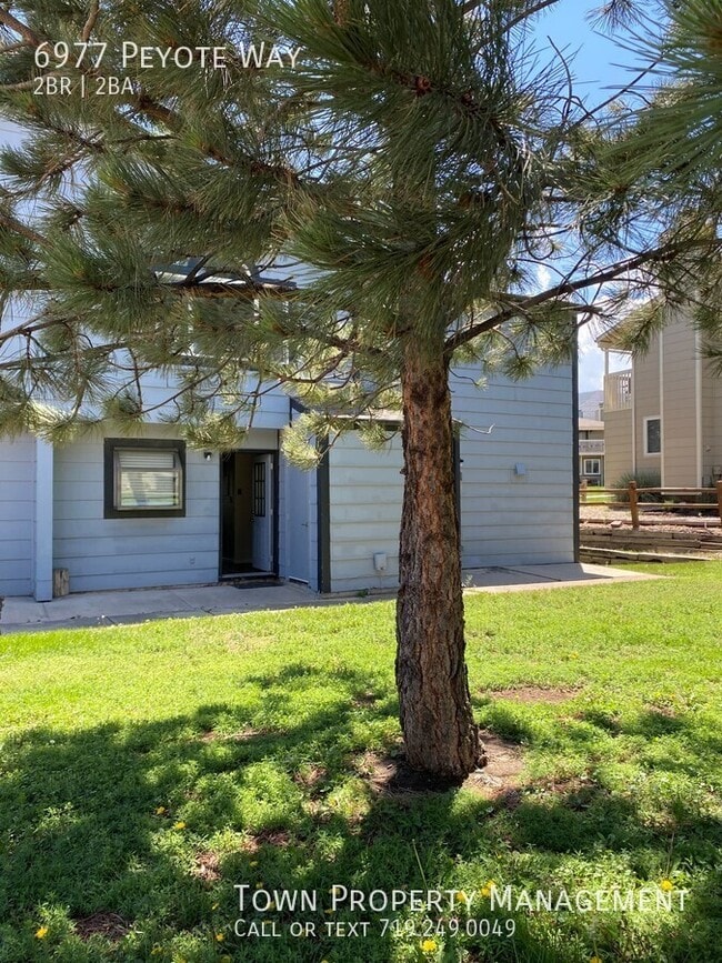 6977 Peyote Way in Colorado Springs, CO - Building Photo - Building Photo