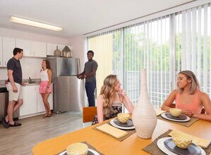 Courtyards Student Apartments in Gainesville, FL - Foto de edificio - Building Photo