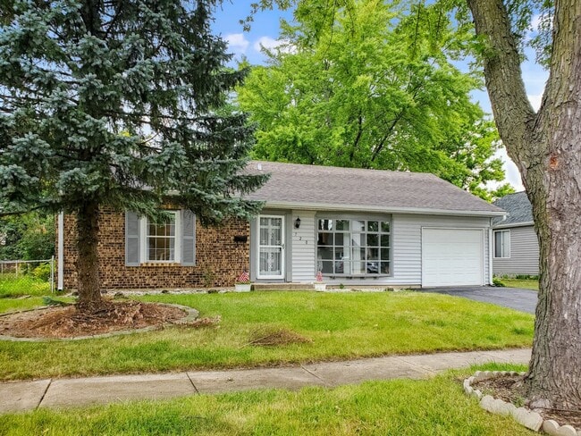 720 Country Ln S in Roselle, IL - Building Photo - Building Photo