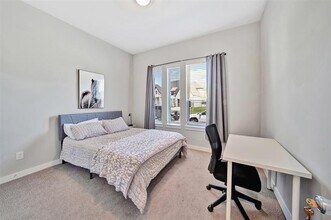 3580 Spruce Hills St in Frisco, TX - Foto de edificio - Building Photo