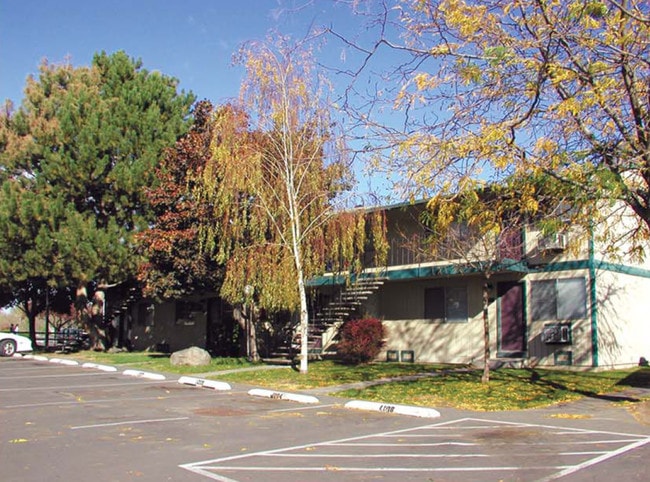 Meadow Park