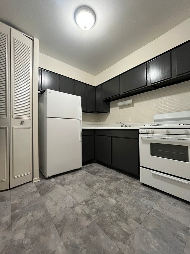 736 W Buena Ave in Chicago, IL - Building Photo - Building Photo