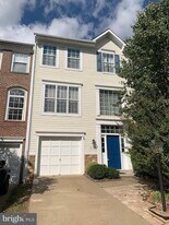 47344 Blackwater Falls Terrace in Sterling, VA - Building Photo