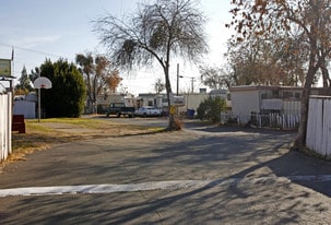 All Star Trailer Park in Sacramento, CA - Building Photo