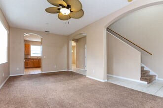 2613 Palesta Dr in Trinity, FL - Building Photo - Building Photo