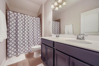 3313 De Torres Cir in Round Rock, TX - Building Photo - Building Photo