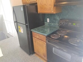 29 Dickinson St in Mount Clemens, MI - Building Photo - Building Photo