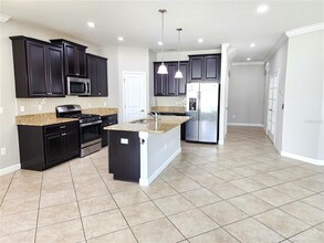 957 Terra Vista St in Brandon, FL - Building Photo - Building Photo