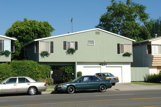 4531 Hazeltine Ave in Sherman Oaks, CA - Building Photo - Building Photo