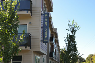 Louis York Apartments in Portland, OR - Building Photo - Building Photo