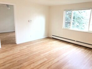 713 Collyer St in Longmont, CO - Building Photo - Building Photo