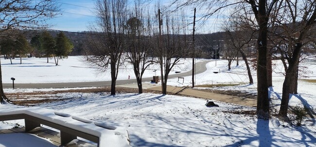 107 Cherokee Rd in Cherokee Village, AR - Building Photo - Building Photo