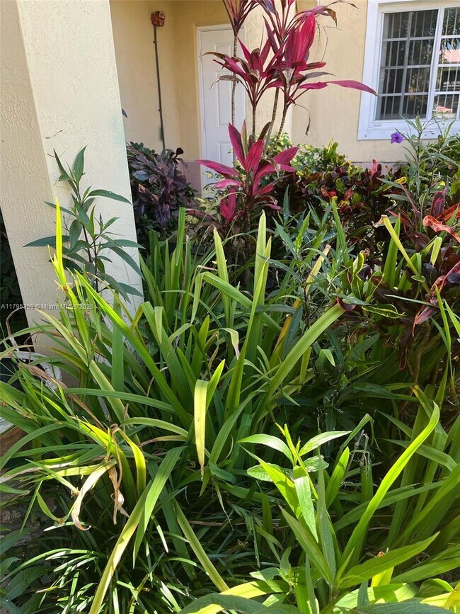 2036 NE 167th St in North Miami Beach, FL - Building Photo - Building Photo