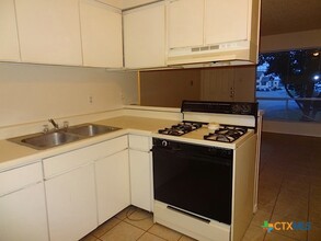 1231 N LBJ Dr in San Marcos, TX - Building Photo - Building Photo