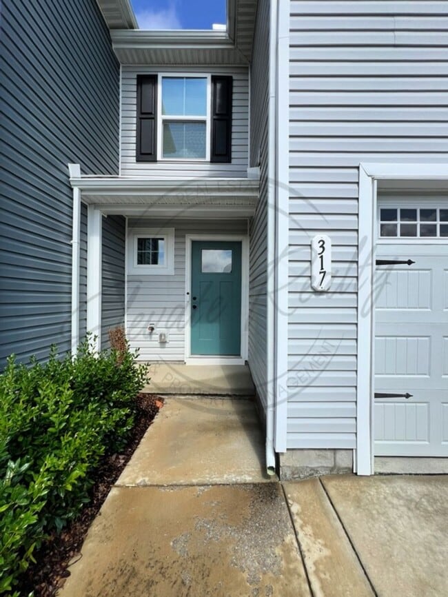 property at 317 Sunny Vw Dr