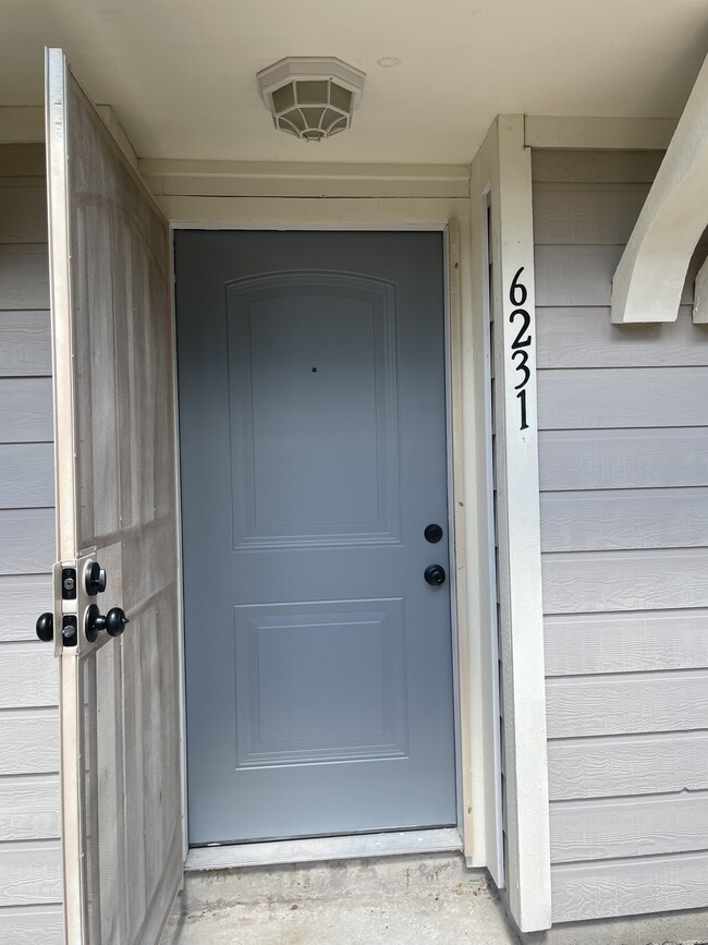 6231 Lone Prairie Way in Katy, TX - Building Photo - Building Photo