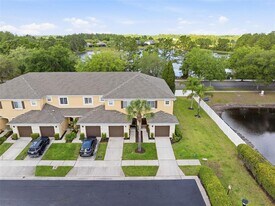 20484 Needletree Dr in Tampa, FL - Building Photo