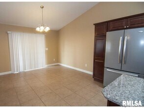 119 Foxx Manor Dr in Chatham, IL - Building Photo - Building Photo