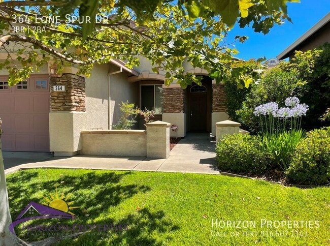 364 Lone Spur Dr in Folsom, CA - Building Photo - Building Photo