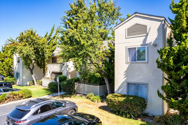 Central Park Condominiums in Fremont, CA - Building Photo - Building Photo